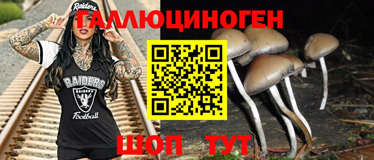 Псилоцибиновые грибы Cubensis Муравленко