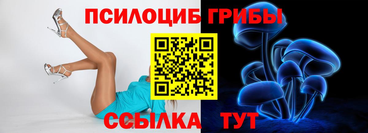 наркота  Галлюциногенные грибы Psilocybe  Вход с VPN  Муравленко 